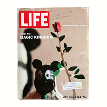 Load image into Gallery viewer, Authentic Fake Life  #1