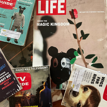 Load image into Gallery viewer, Authentic Fake Life #3